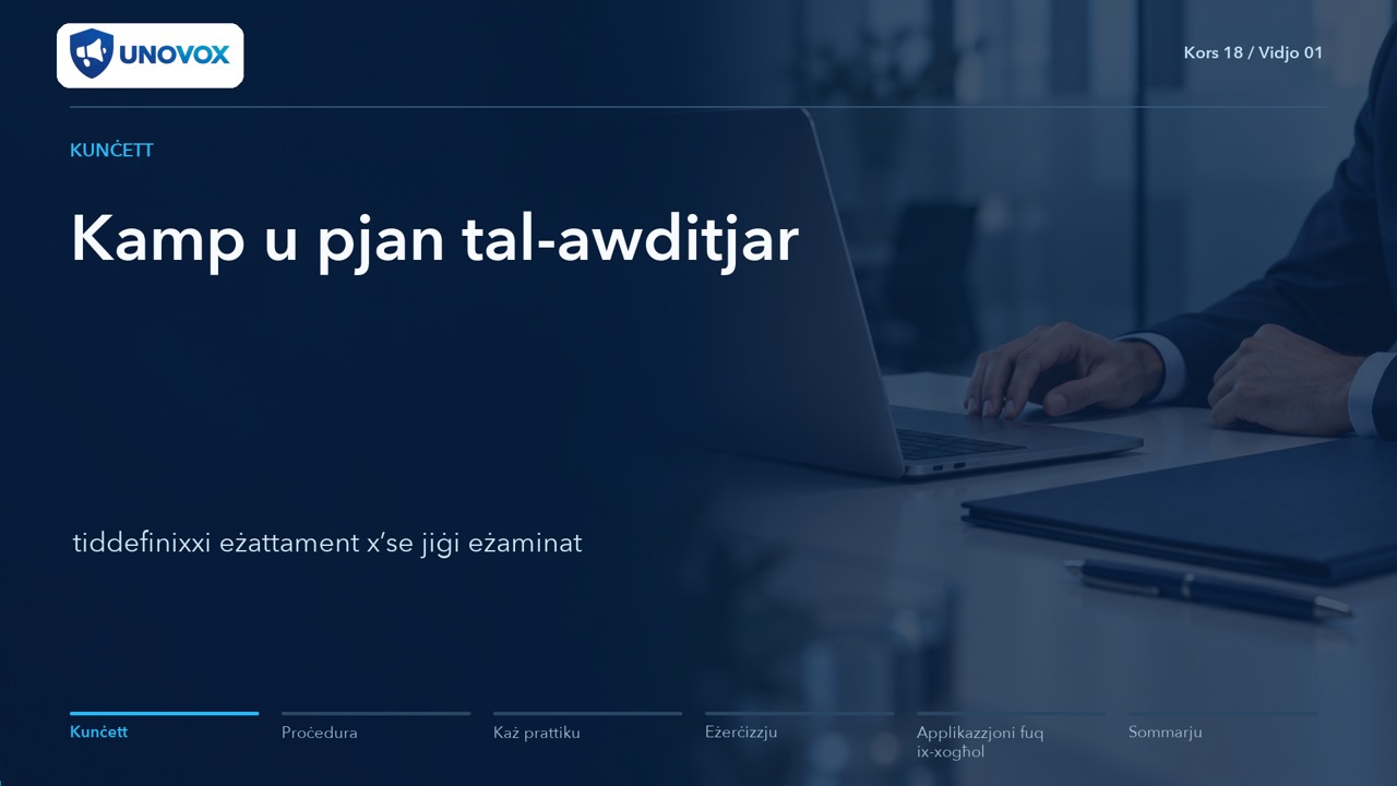 Auditing the reporting channel and compliance programme